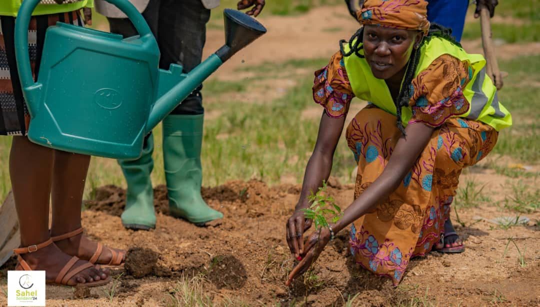 Action humanitaire dans l'Extrême-Nord par Sahel Solidaire'24